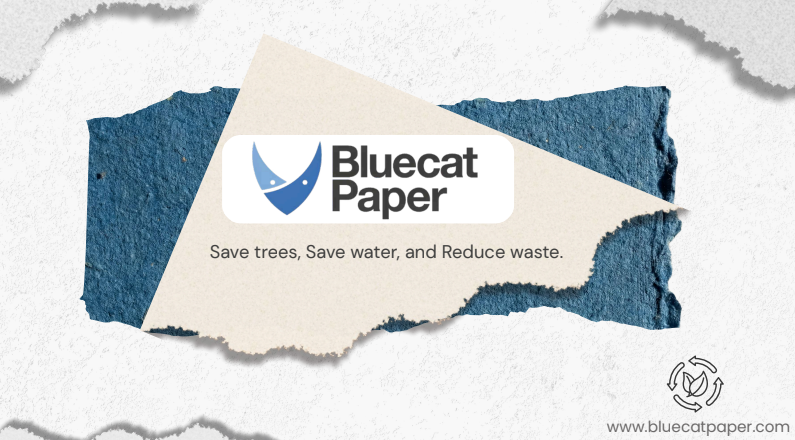 Bluecat Paper Content Strategy
